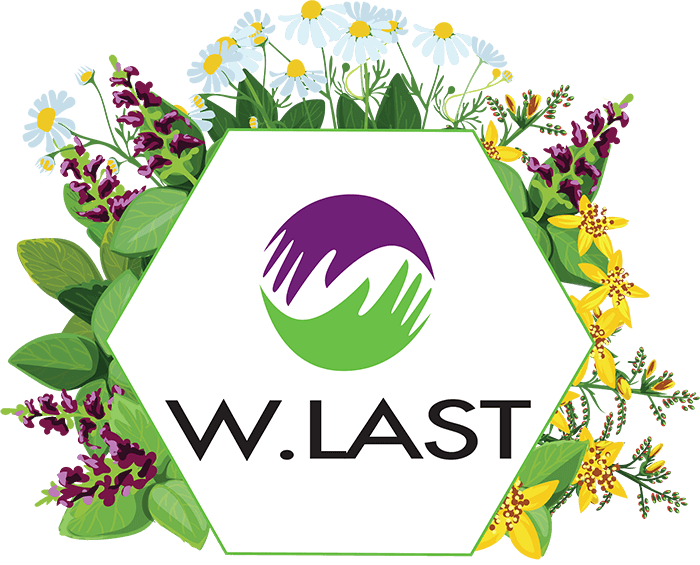 W.Last Logo